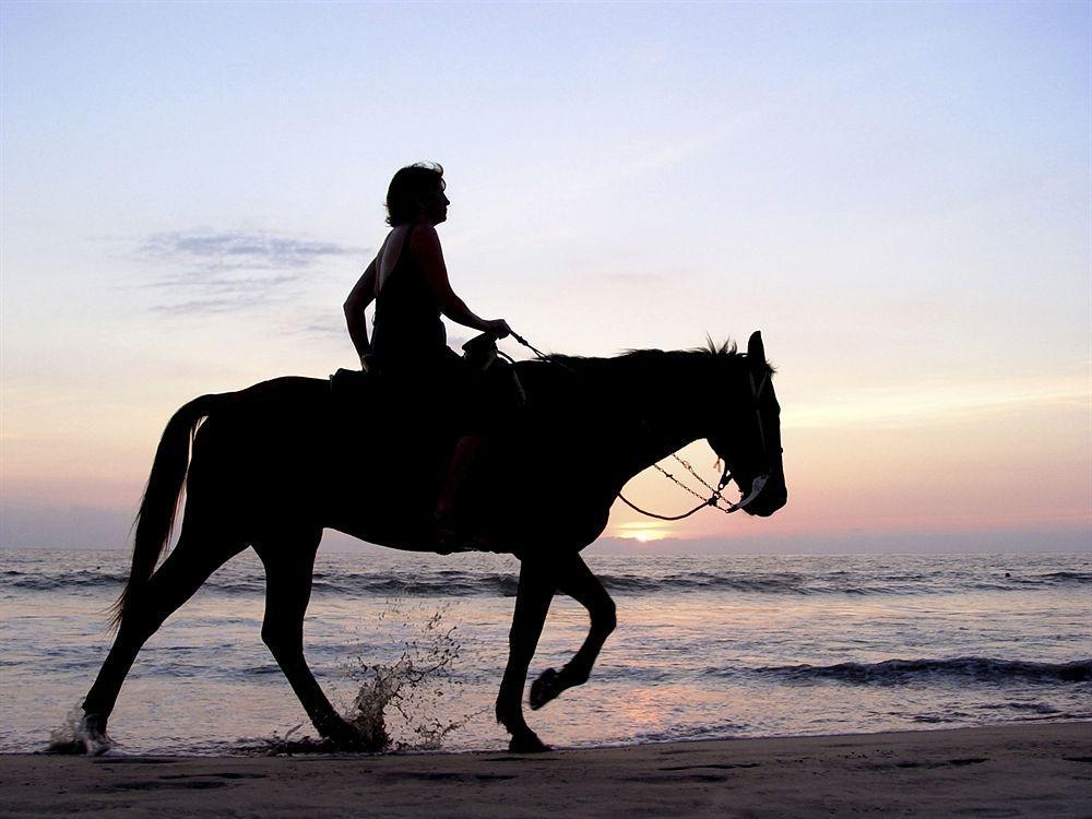 W Retreat & Spa - Vieques Island ภายนอก รูปภาพ